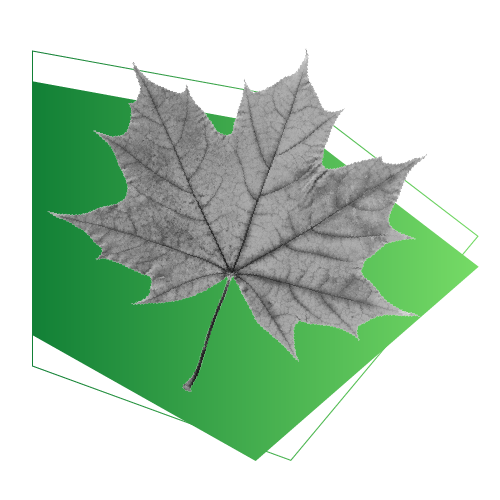Canada feuille d'érable