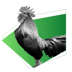 Coq France Speakylink